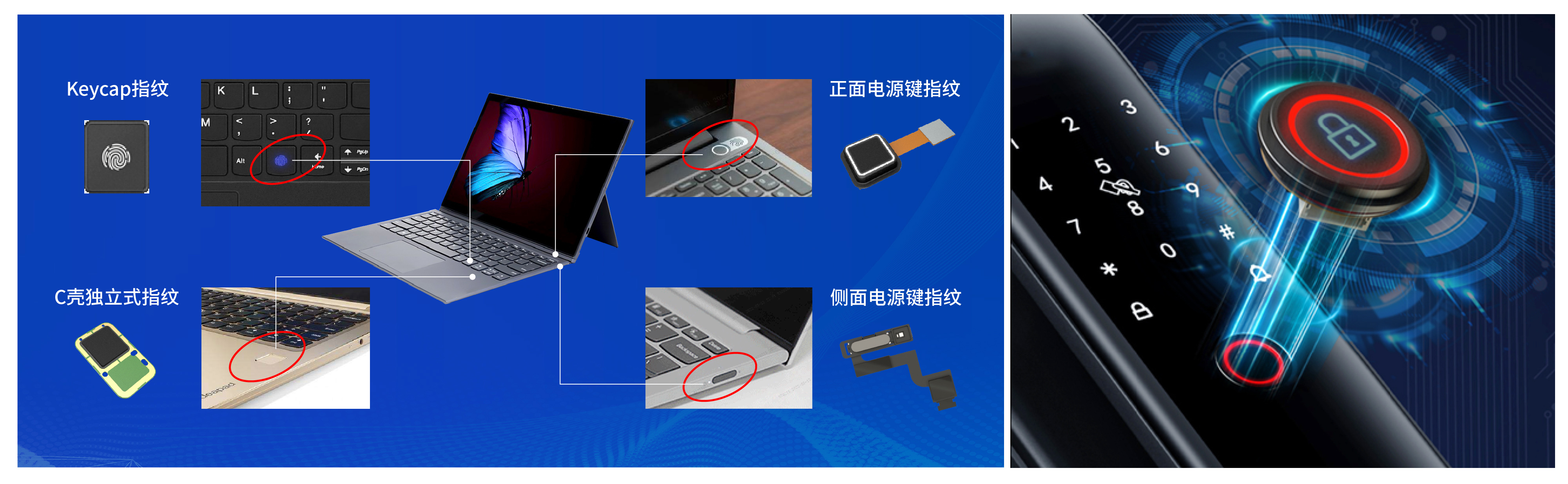 28圈(中国)官方网站